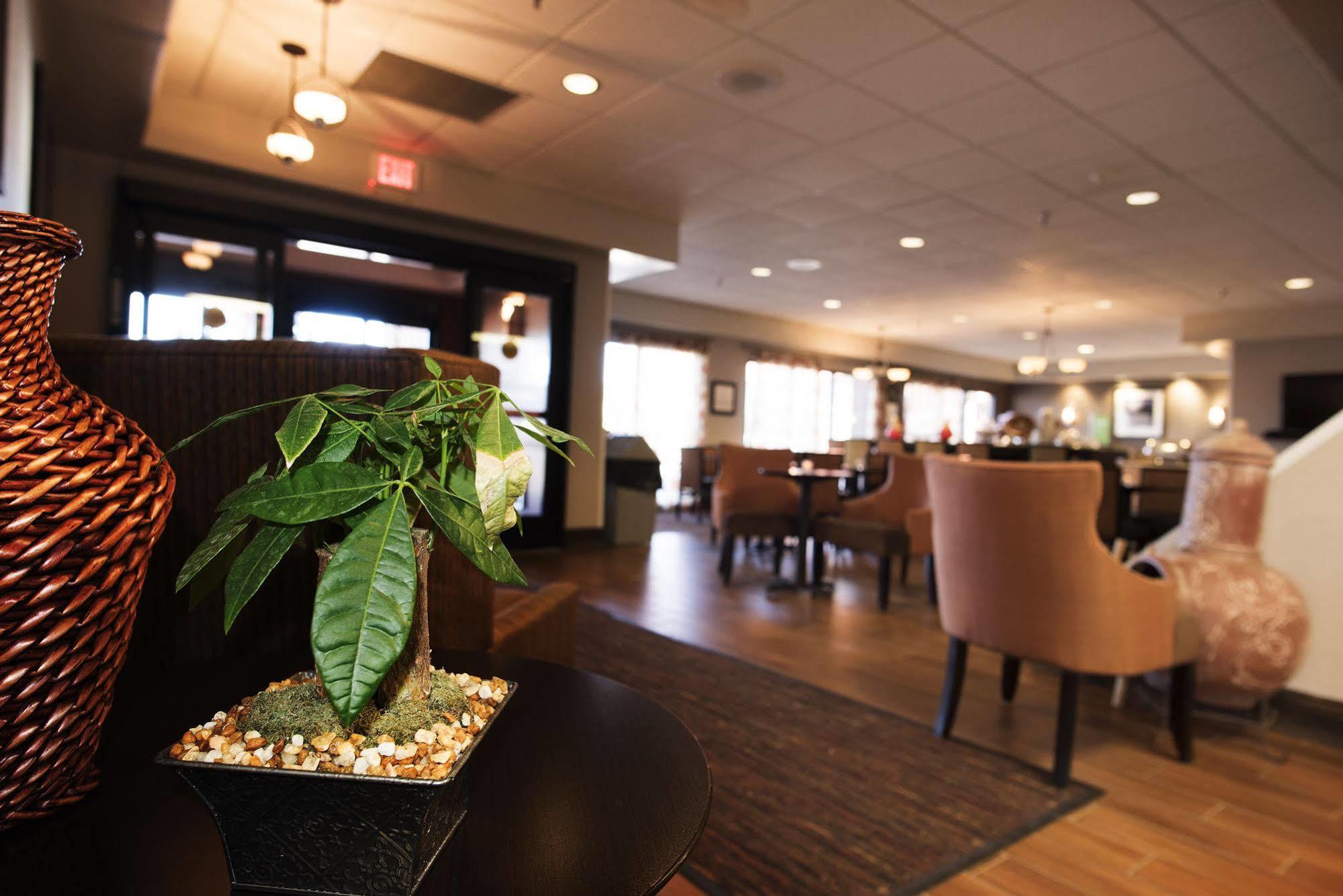 Hampton Inn טאוס מראה חיצוני תמונה